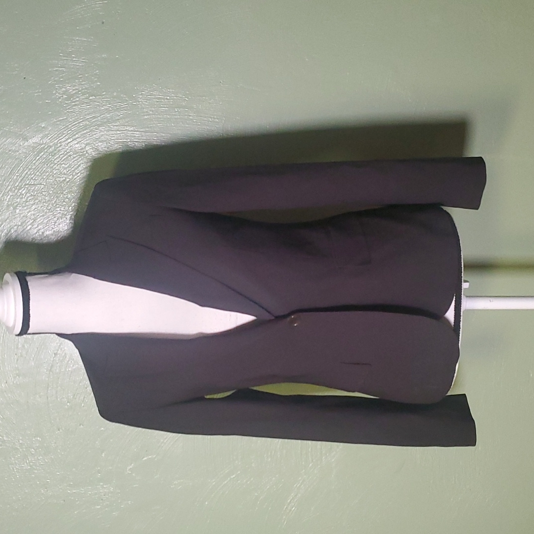 Theory Gabe Blazer Sz 2